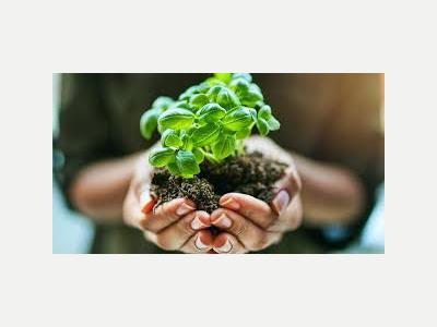 Jardines Viveros Olivid: Viveros Boutique 